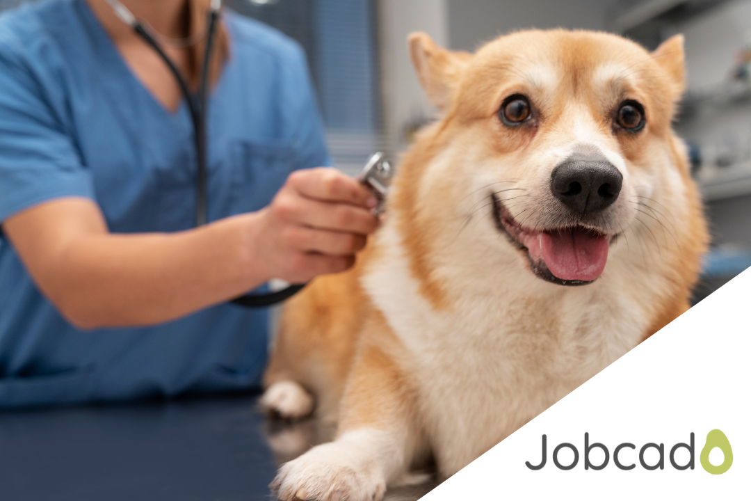 The world of entry-level veterinary jobs is brimming with possibilities.